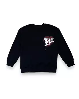 What’s The Plan Crewneck